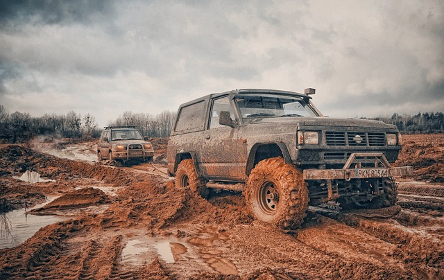 offroad, auto, field
